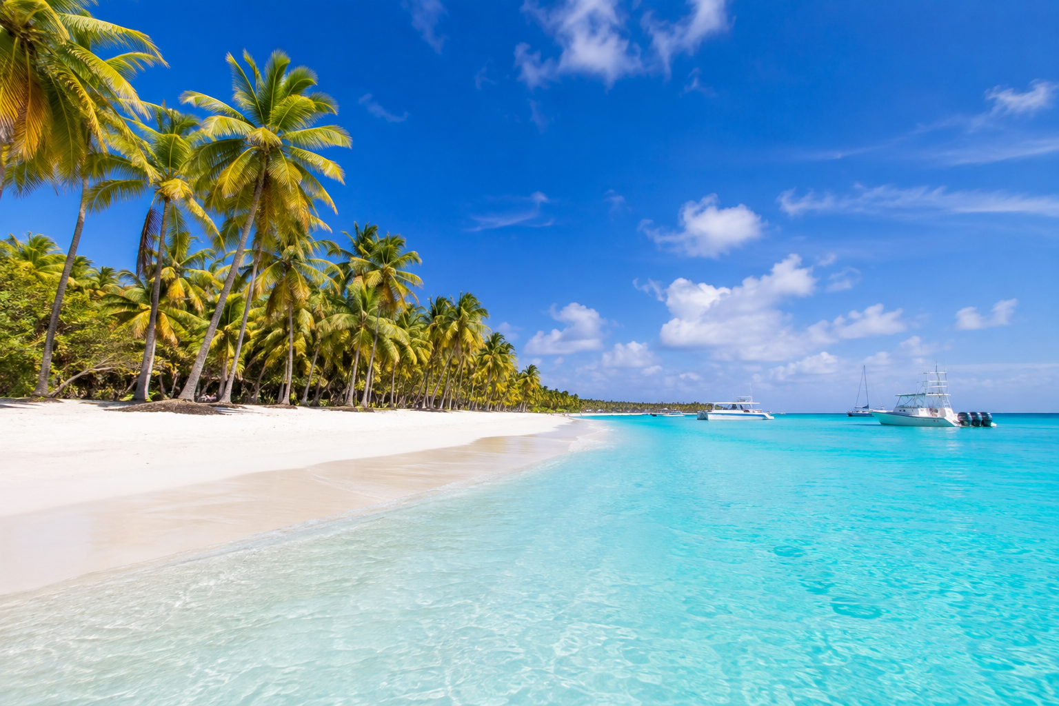 Isla Saona beach